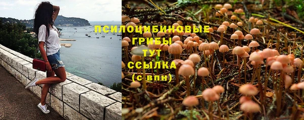 кокаин колумбия Богданович