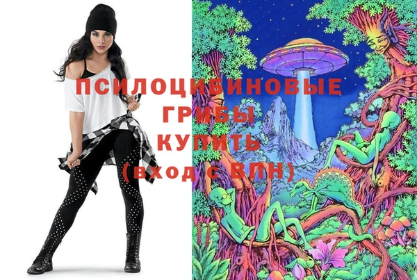 эйфоретик Богородицк