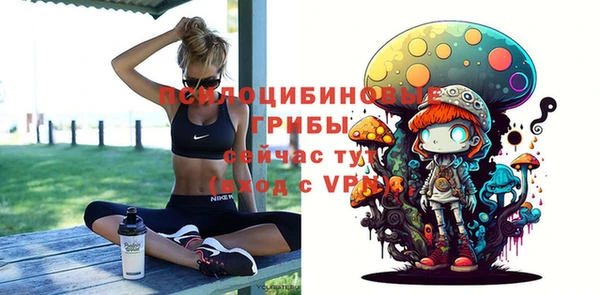 скорость Семёнов