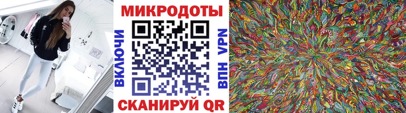 купить наркотики цена  Бирюч  Псилоцибиновые грибы Cubensis 